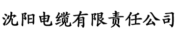 高中生自扣漏水视频电缆厂logo